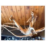 Large Sculptural Driftwood Root / Branch – Aquarium, Reptile Habitat or Rustic Décor