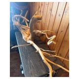 Large Sculptural Driftwood Root / Branch – Aquarium, Reptile Habitat or Rustic Décor