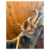 Large Sculptural Driftwood Root / Branch – Aquarium, Reptile Habitat or Rustic Décor