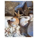 Coastal Seashell & Starfish Decor Lot w/ Shell Mirror, Nautilus, Conch & Coral Display