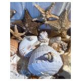 Coastal Seashell & Starfish Decor Lot w/ Shell Mirror, Nautilus, Conch & Coral Display