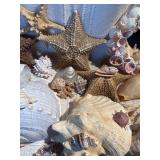 Coastal Seashell & Starfish Decor Lot w/ Shell Mirror, Nautilus, Conch & Coral Display