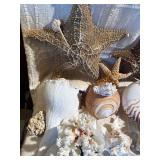 Coastal Seashell & Starfish Decor Lot w/ Shell Mirror, Nautilus, Conch & Coral Display