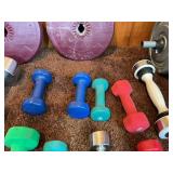 Large Mixed Dumbbell & Home Fitness Weight Lot w/ Case – Plates, Hand Weights, Medicine Ball