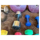 Large Mixed Dumbbell & Home Fitness Weight Lot w/ Case – Plates, Hand Weights, Medicine Ball