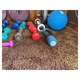 Large Mixed Dumbbell & Home Fitness Weight Lot w/ Case – Plates, Hand Weights, Medicine Ball