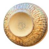 Red Wing Stoneware Saffron Ware 9.5" Bowl