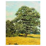 Landscape Painting - Lone Tree in Golden Field, Framed