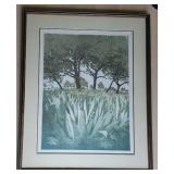 Lush Agave Field Landscape Framed Print