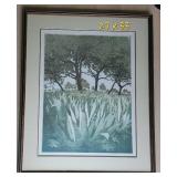 Lush Agave Field Landscape Framed Print