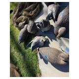 Mallard Duck Decoys - Used Waterfowl Hunting Decoys