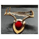 Deer Antler Trophy Mount on Shield-Style Wooden Plaque