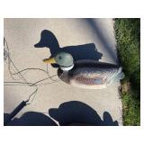 Mallard Duck Decoys - Used Waterfowl Hunting Decoys