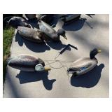 Mallard Duck Decoys - Used Waterfowl Hunting Decoys
