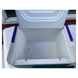Coleman Dual Fuel CampStove 424 & Igloo Polar Six Cooler (Lot of 2)