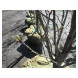Regal Prince Columnar Oak, 9-1/2ft,...