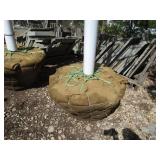 Autumn Blaze Maple, 15ft, 3" ca...