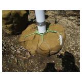 Green Mountain Maple, 13ft, 3" ca...