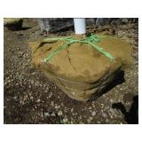 Green Mountain Maple, 16ft, 3-1/2" ...