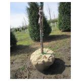Swamp White Oak, 12ft, 2-1/2" ca...