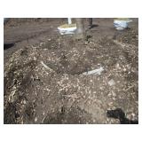 Skyline Locust, 13ft, 3-1/2" ca...