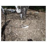 Serviceberry, 9ft...