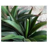 UL - Artificial Yucca Plant in Black Square Planter - 2.5 ft Tall