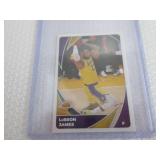2020-21 Playbook & Panini LeBron Ja...