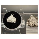 Cosmic Relics: Campo del Cielo Iron Meteorite Duo