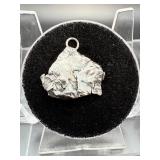 Cosmic Relics: Campo del Cielo Iron Meteorite Duo
