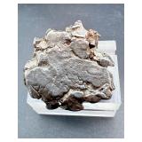 Cosmic Relics: Campo del Cielo Iron Meteorite Duo