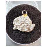 Cosmic Relics: Campo del Cielo Iron Meteorite Duo