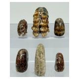 A collection of six polished Madagascar ammonite fossils showcasing intricate Cretaceous-era suture patterns.