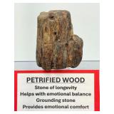 Ancient Relic of the Prehistoric Forest: Authentic Mineralized Petrified Wood Specimen with Natural Iron-Oxide Tinting