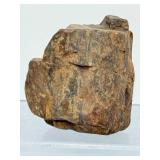 Ancient Relic of the Prehistoric Forest: Authentic Mineralized Petrified Wood Specimen with Natural Iron-Oxide Tinting