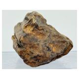 Ancient Relic of the Prehistoric Forest: Authentic Mineralized Petrified Wood Specimen with Natural Iron-Oxide Tinting
