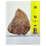 Ancient Relic of the Prehistoric Forest: Authentic Mineralized Petrified Wood Specimen with Natural Iron-Oxide Tinting