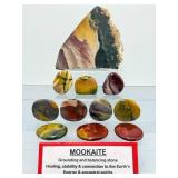 Mookaite Jasper is a unique Australian gemstone formed from ancient fossilized sea creatures that is prized by collectors for its vibrant, porcelain-like colors found in both raw slabs and smooth palm