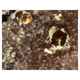 Rare 'Bridge' Specimen: Lustrous Gem Sphalerite on Sparkling Druzy Quartz