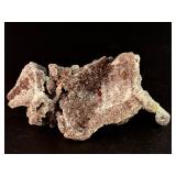 Rare 'Bridge' Specimen: Lustrous Gem Sphalerite on Sparkling Druzy Quartz