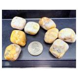 Lot of 8 Spotted Agate (King Cobra Jasper) Tumbled Stones – Natural Grounding Crystals