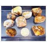 Premium 9pc King Cobra Jasper Tumbled Stone Set – Orbicular Chalcedony – India