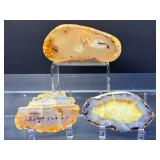 Rare Dendritic Agate Specimens - 'The Stones of Plenitude'
