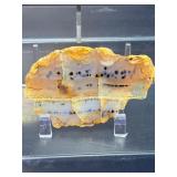 Rare Dendritic Agate Specimens - 'The Stones of Plenitude'