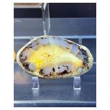 Rare Dendritic Agate Specimens - 'The Stones of Plenitude'