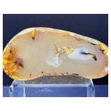 Rare Dendritic Agate Specimens - 'The Stones of Plenitude'