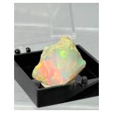 Investment Grade: Pair of High-Flash Raw Welo Opals from Ethiopia