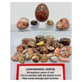 Leopardskin Jasper 'Jaguar Stone' Master Collection –  Premium Set