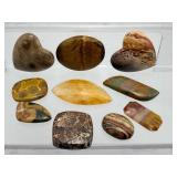 Premium Collection of 10 Polished Gemstone Cabochons – Michigan Fossils & Exotic Jaspers