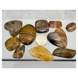 Premium Collection of 10 Polished Gemstone Cabochons – Michigan Fossils & Exotic Jaspers